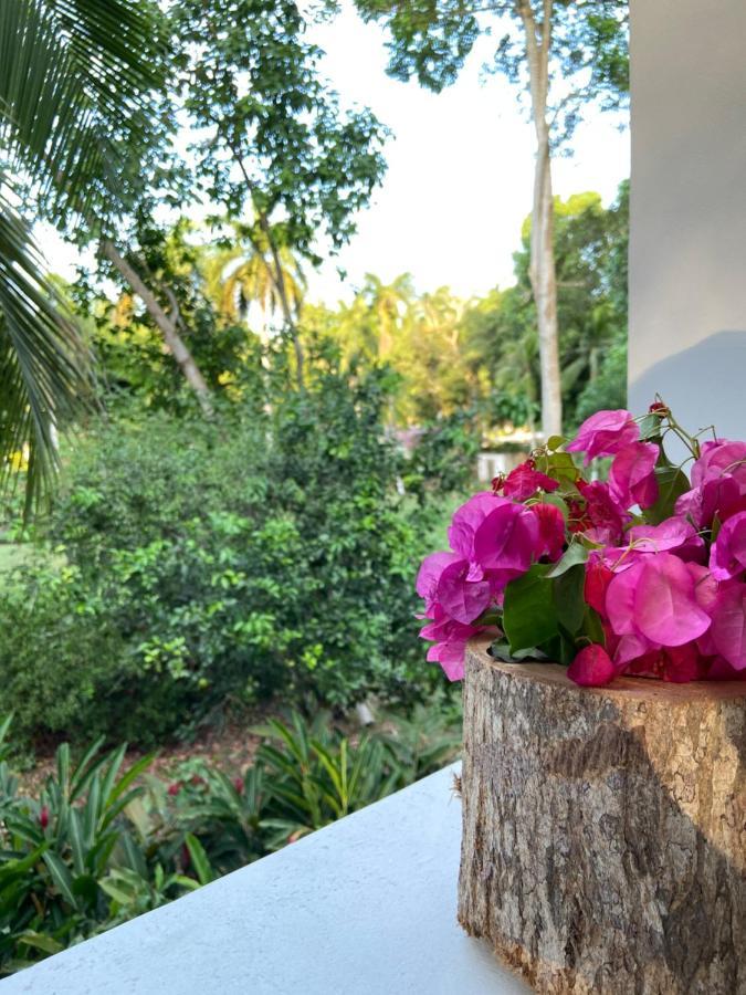 Hotel Restaurante Selva Negra Turbaco 外观 照片